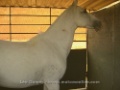 expomutum2009_001