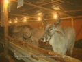 expomutum2009_051