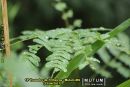 12º Encontro de Trilheiros - Mutum-MG (23/04/2017)