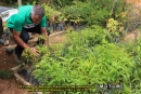 9ª Coleta de Resíduos Plásticos e Recuperação de Nascentes em Imbiruçu (28/11/2015)