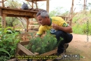 9ª Coleta de Resíduos Plásticos e Recuperação de Nascentes em Imbiruçu (28/11/2015)