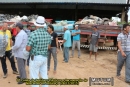 9ª Coleta de Resíduos Plásticos e Recuperação de Nascentes em Imbiruçu (28/11/2015)