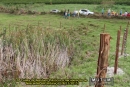 9ª Coleta de Resíduos Plásticos e Recuperação de Nascentes em Imbiruçu (28/11/2015)