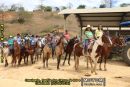 Cavalgada, Desfile dos Carros de Boi e Cavalhada