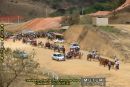 Cavalgada, Desfile dos Carros de Boi e Cavalhada