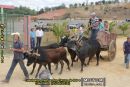 Cavalgada, Desfile dos Carros de Boi e Cavalhada