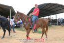 Desfile Monumental