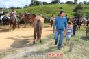 Desfile Monumental