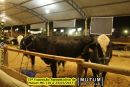 33ª Exposição Agropecuária de Mutum-MG (19 a 23/07/2017)