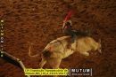33ª Exposição Agropecuária de Mutum-MG (19 a 23/07/2017)
