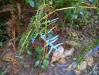 dsc09900