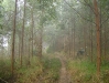dsc09975
